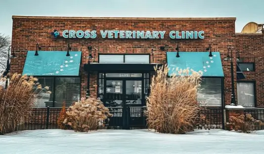 Cross-Veterinary-Clinic-building Cross Veterinary Clinic Staff building