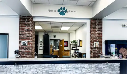 cross-veterinary-clinic-reception Cross Veterinary Clinic reception